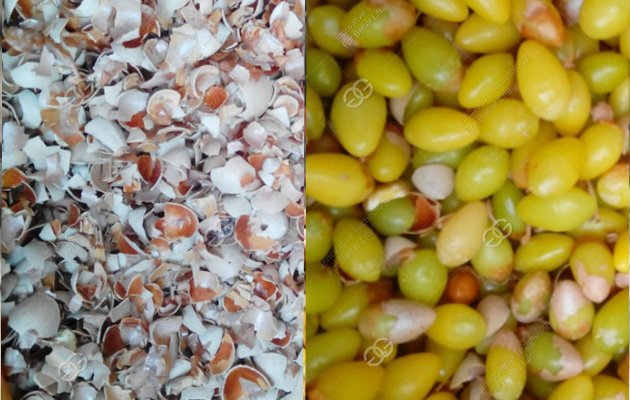 Ginkgo Nut Husking Machine For Sale